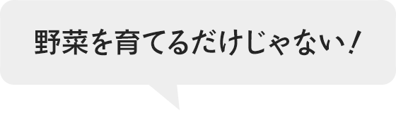 野菜を育てるだけじゃない！